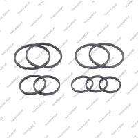 Комплект уплотнительных колец (Gen 1/2, 2003-up, 9шт.)