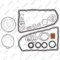 Комплект прокладок и сальников (с уплотнительными кольцами и фильтром картриджем)*