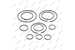 Комплект уплотнительных колец (11шт.)