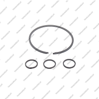 Комплект уплотнительных колец (4шт.)*