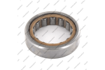 Подшипник ведомого шкива задний, входного вала (43x66x17.0, роликовый)*