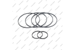 Комплект уплотнительных колец (6шт.)