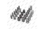 Комплект пружин сцепления (24шт.)