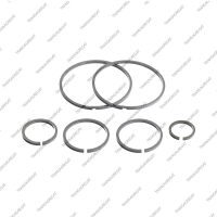 Комплект уплотнительных колец (6шт.)*